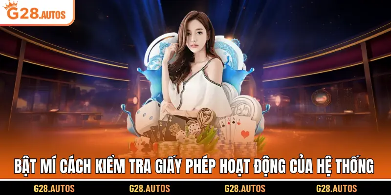 Bật mí cách kiểm tra giấy phép hoạt động của hệ thống