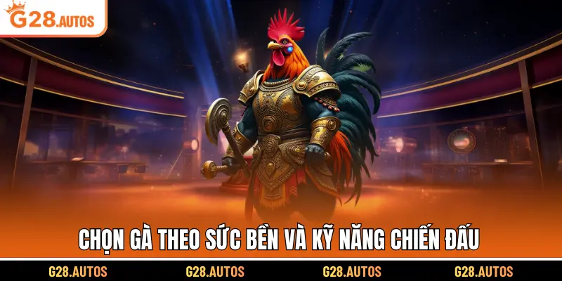 Chọn gà theo sức bền và kỹ năng chiến đấu