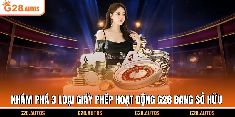 Khám phá 3 loại giấy phép hoạt động G28 đang sở hữu