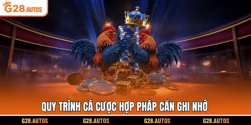 Quy trình cá cược hợp pháp cần ghi nhớ