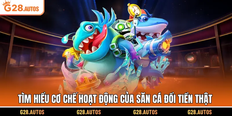 Tìm hiểu cơ chế hoạt động của săn cá đổi tiền thật