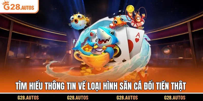 Tìm hiểu thông tin về loại hình săn cá đổi tiền thật