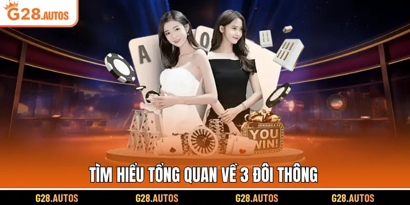 Tìm hiểu tổng quan về 3 đôi thông